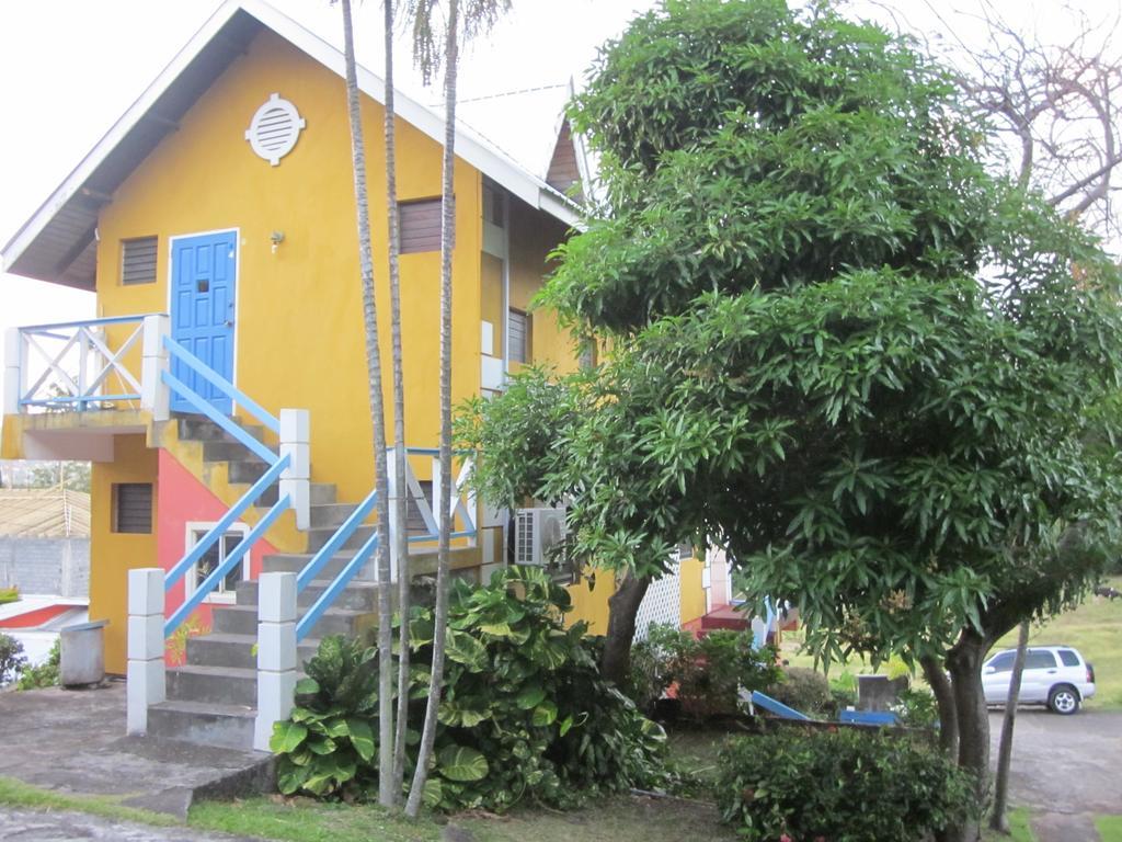 Buttercup Cottage Apartments Arnos Vale Kültér fotó